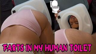 Farts in my human toilet