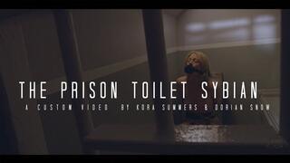 The Prison Toilet Sybian