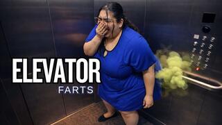 Farts in the elevator