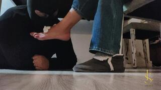 Estudiando aburrida… ¿tienes ganas de jugar, cachorrillo?