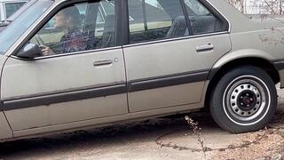 Janita's Sunbird Is Acting Up Pt 2