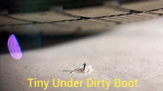 POV Giantess Dirty Boot Crush - Tiny Under Dirty Soles Teased & Crushed