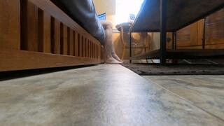 Unaware Giantess has a viewer