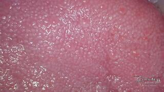 The surface of flavors