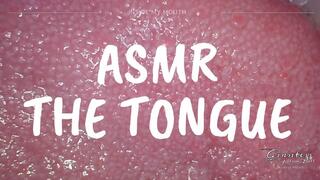 ASMR The Tongue