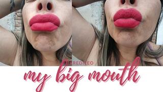 THE SKILLS OF MY MOUTH