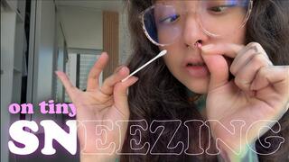 The disgusting giantess shoves you up her nose and sneezes