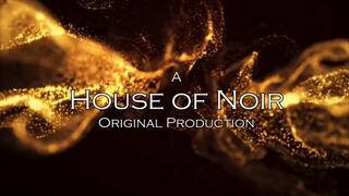 Sweaty Stinky Armpit Worship POV