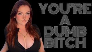 You're a Dumb Bitch - Homewreck Mind Fuck Captivate Goddess Worship Beta Loser Degradation Verbal Humiliation