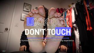 Look But Dont Touch HD