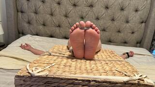 Talented Tonya Reverse Spread Tie Falaka Punishment