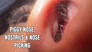 Piggy nose, nostrils and nose picking close-up - OnlyVanessa