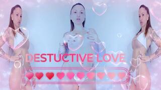 Destructive Love