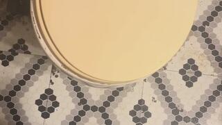 Master Toilet Humiliation MP4