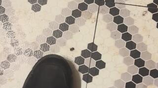 Double Domination MP4