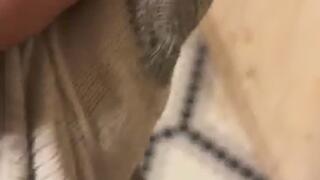 Master Humiliation MP4