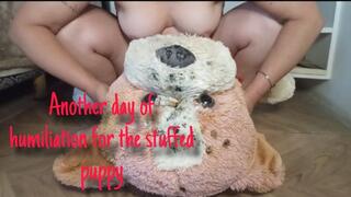 Another day of humiliation for the stuffed puppy