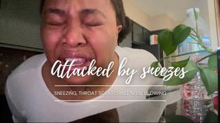 Attacked by sneezes: Sneezing, Throat Scratching, Nose blowing