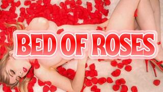 Bed Of Roses