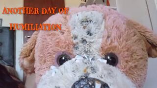 Another day of humiliation