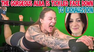 THE GORGEOUS ALBA IS TICKLED FACE DOWN TO EXHAUSTION - FULL HD MP4