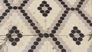 Hair Brushing Fetish MP4