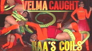Velma CAUGHT In KAA’S COILS: COSPLAY DID PLUSHIE STRUGGLE WITH UPSKIRT INSERTIONS IN 1080