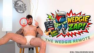 THE WEDGIE REMOTE CONTROLLER