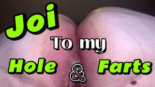 Fart and Asshole JOI Quickie