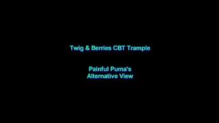 Painful Puma's Alternative View