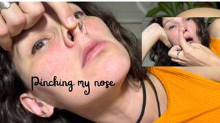Pinching my nose II