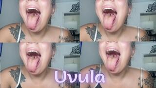 Look at my uvula... so close you'll tremble