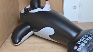 Riding & Stomping a Giant Inflatable Orca