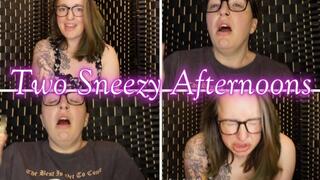 Two Sneezy Afternoons mp4