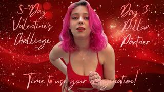 5-Day V-day Challenge 3: Pillow Partner