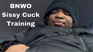 BNWO Ebony Dominatrix Trains You To Be A Sissy Cuck This Valentine's Day