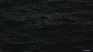 BNWO ASMR - BBC & Weak White Men + Programming - Custom Request