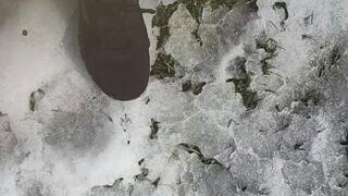 Tempest walking in sneakers in the snow