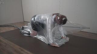 Sonya ordered a new device a not entirely successful continuation of the story