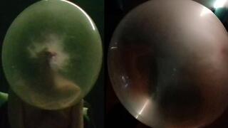 BG mix 18 super bubble original and 6 double bubble