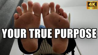 Feet, Your True Purpose - 4k UHD 2160p - KingMarti