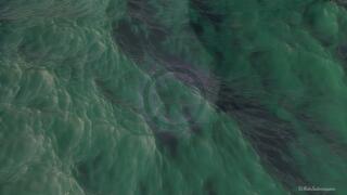 BNWO - The Talk - ASMR