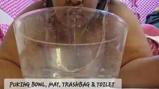 PUKING BOWL, MAT, TRASHBAG AND TOILET