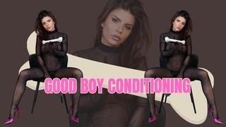 Good Boy Conditioning