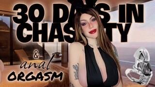30 days in chastity & anal orgasm 720p