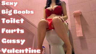 Valentine's Red Lingerie Toilet Farts Crazy Gas!!
