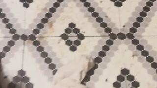 Master Valentine's Day Stockings Worship MP4