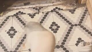 Master Valentine's Day Foot Worship MP4