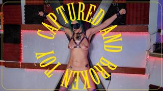 Caught and Broken Toy