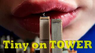 Tiny city - REVERSE Mouth View